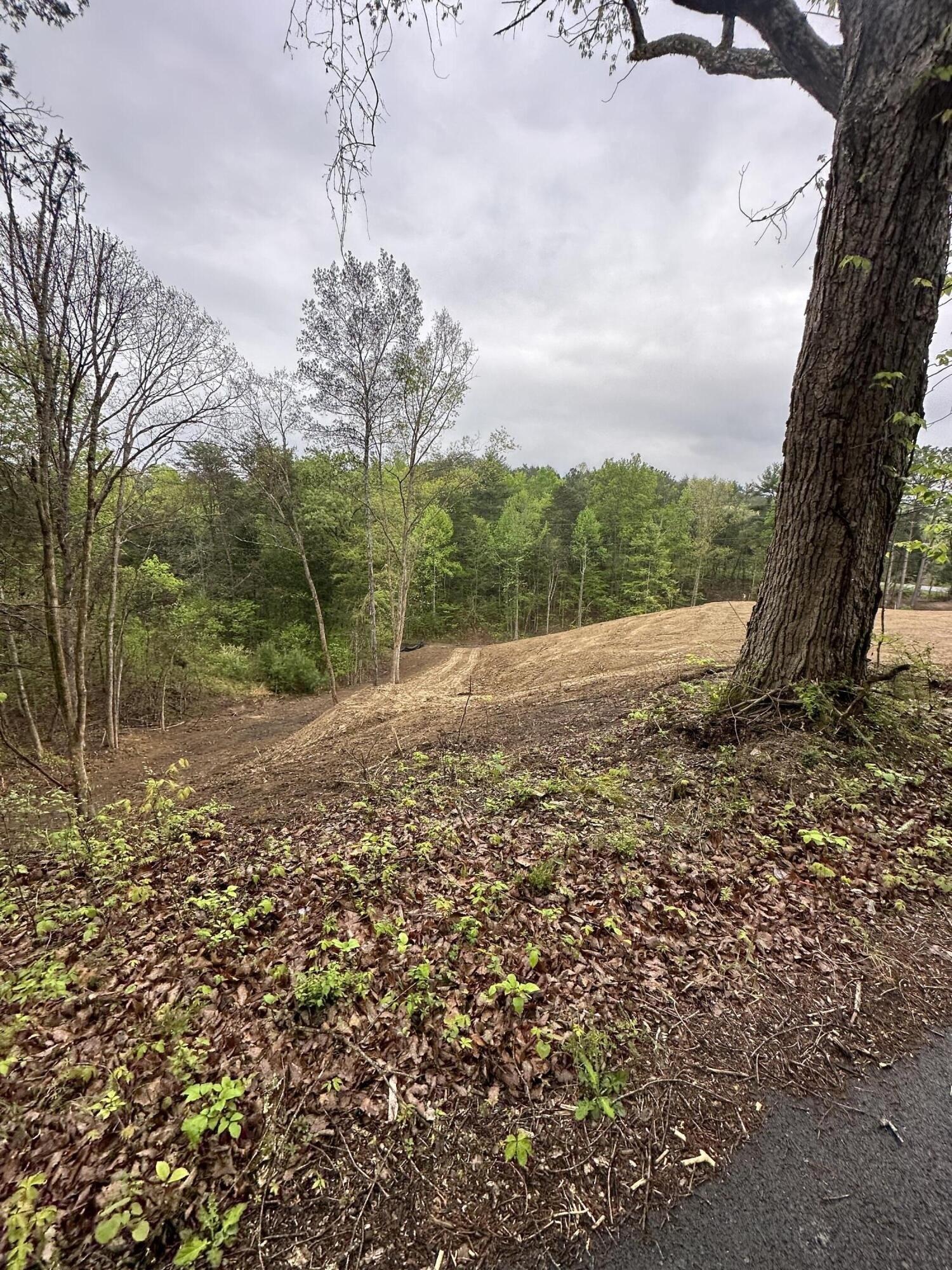 Property Image for 1801 Bootbluff Trail