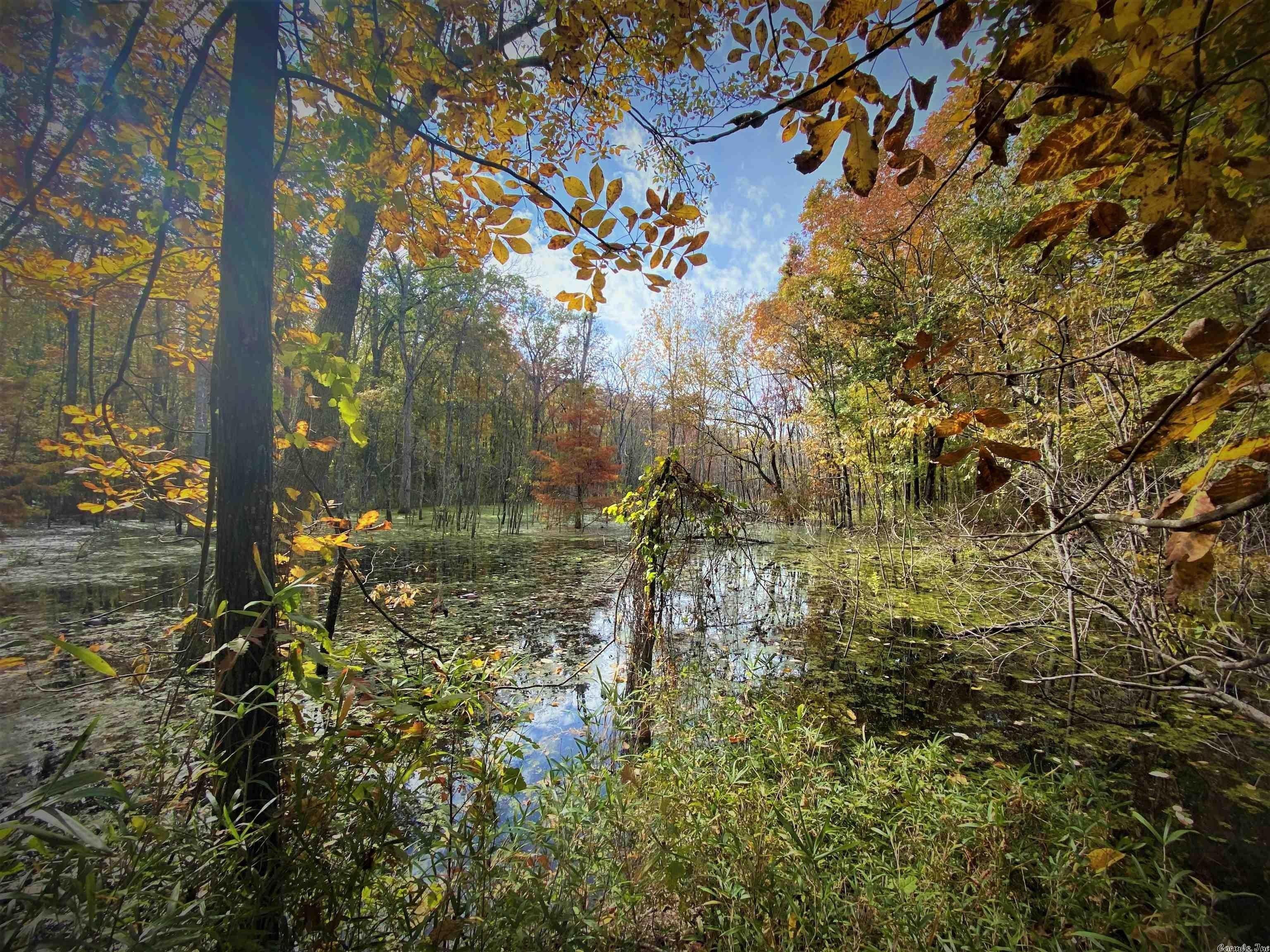 print property image