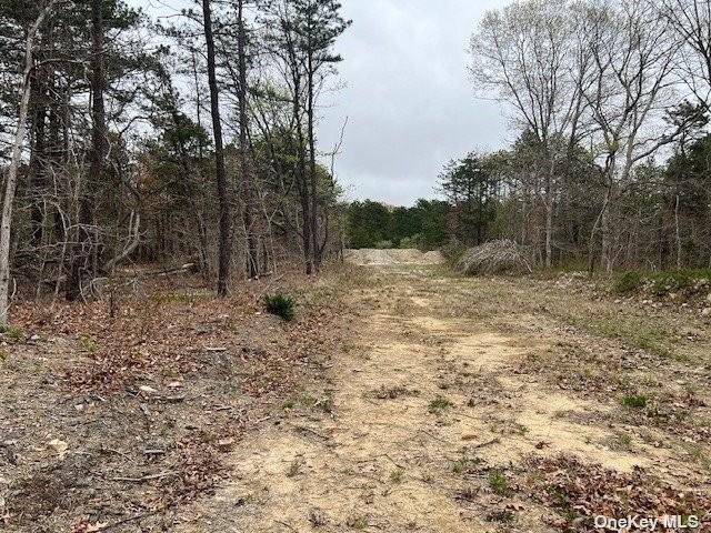 Property Image for Lot 2 N Jerusalem Hollow Road