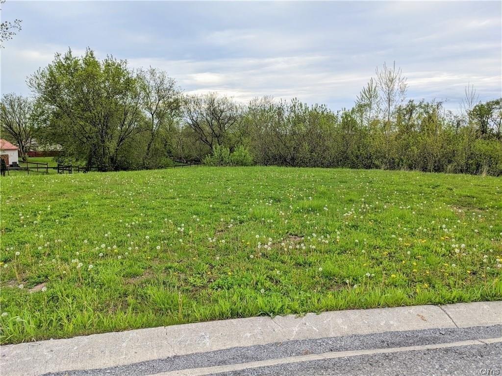 print property image