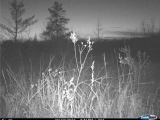 image 36