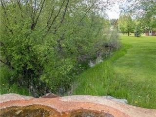 image 33