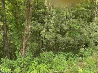 image 25
