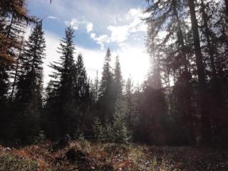 image 38