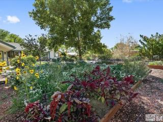 image 35