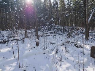 image 64