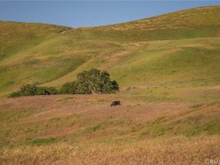 image 39