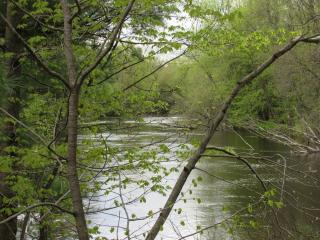 image 23