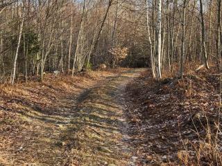 image 14