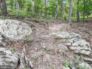 image 37