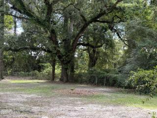image 36