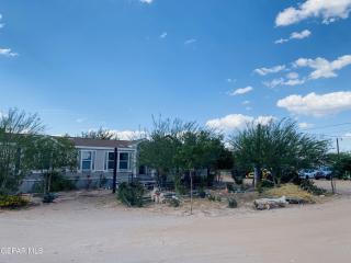 image 31