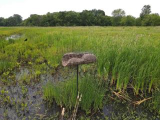 image 25