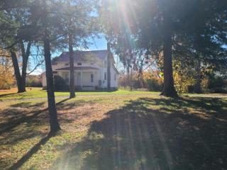 image 14