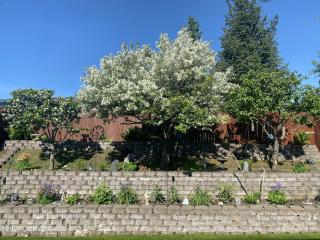 image 37