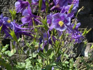 image 39