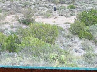 image 34