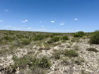 image 23