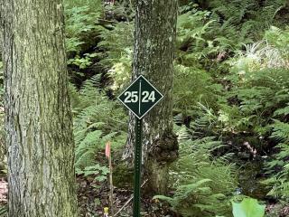 image 24