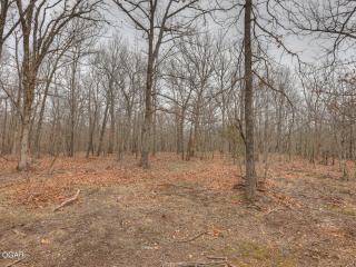 image 61
