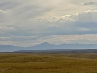 image 86