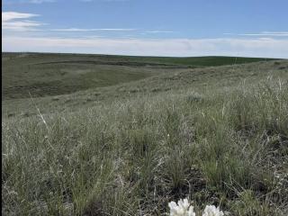 image 16