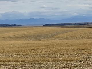 image 84
