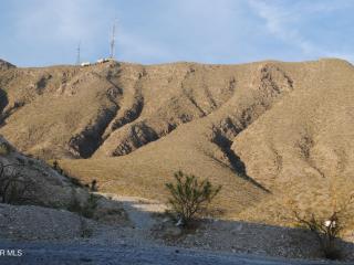 image 49