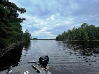 image 36