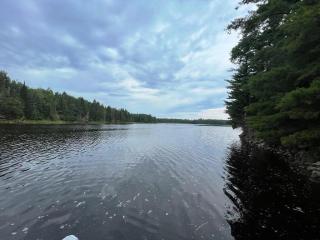 image 35
