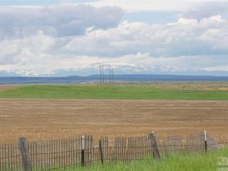 image 35