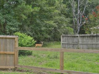 image 38
