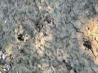 image 48