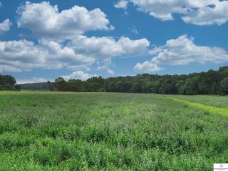 image 33