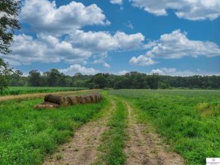 image 29