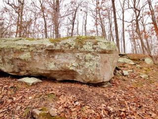 image 43