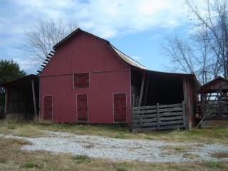 image 13