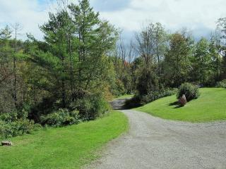 image 37
