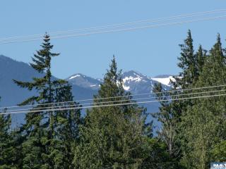 image 53
