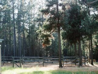 image 30