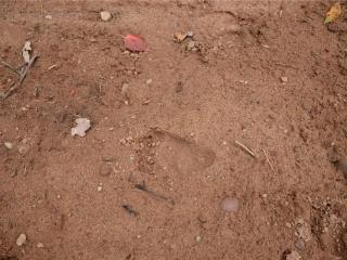 image 35