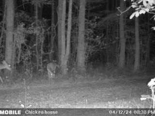 image 36