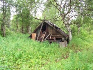 image 31