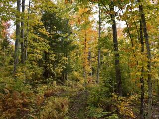 image 68