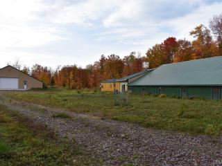 image 62