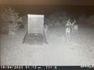 image 33