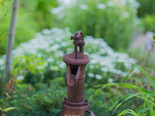 image 32
