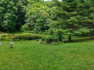 image 48