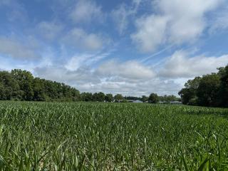 image 32