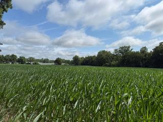 image 33